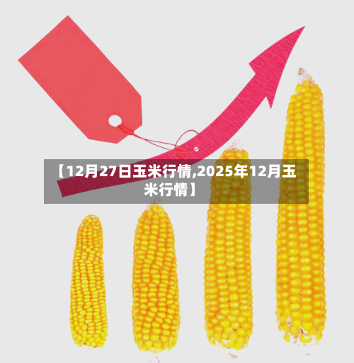 【12月27日玉米行情,2025年12月玉米行情】