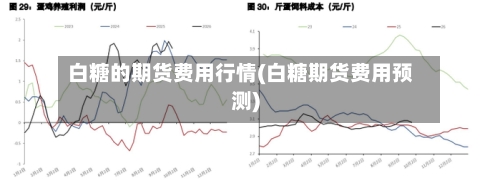 白糖的期货费用行情(白糖期货费用预测)