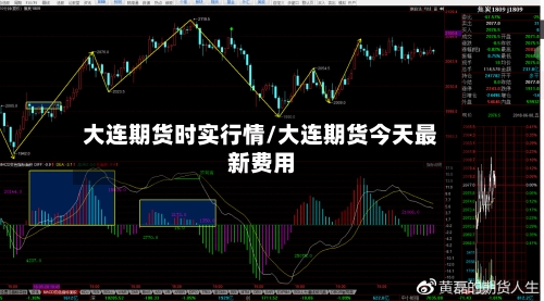 大连期货时实行情/大连期货今天最新费用