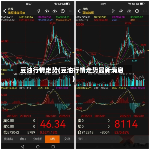 豆油行情走势(豆油行情走势最新消息)