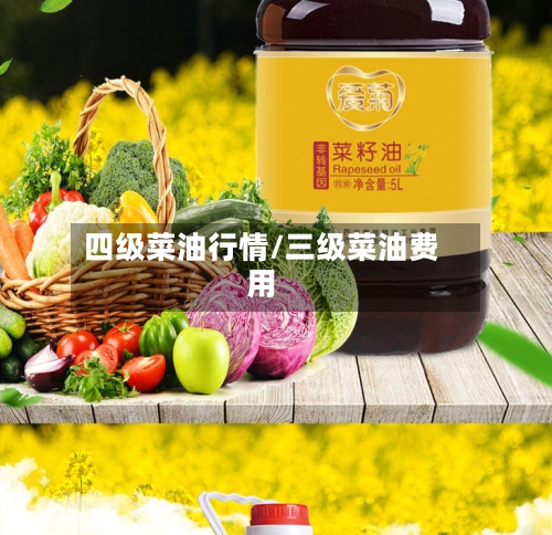 四级菜油行情/三级菜油费用
