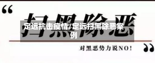 定远抗击疫情/定远扫黑除恶案例