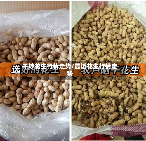 干炒花生行情走势/最近花生行情走势-第2张图片