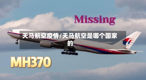 天马航空疫情/天马航空是哪个国家的-第3张图片