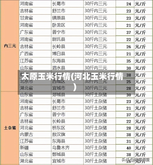 太原玉米行情(河北玉米行情)-第3张图片