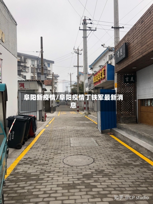 阜阳新疫情/阜阳疫情丁铁军最新消息