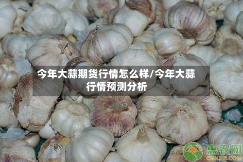 今年大蒜期货行情怎么样/今年大蒜行情预测分析