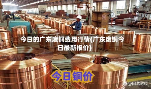 今日的广东废铜费用行情(广东废铜今日最新报价)-第3张图片