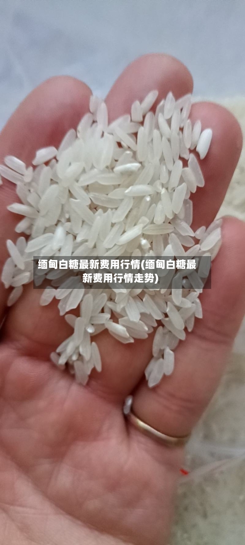 缅甸白糖最新费用行情(缅甸白糖最新费用行情走势)