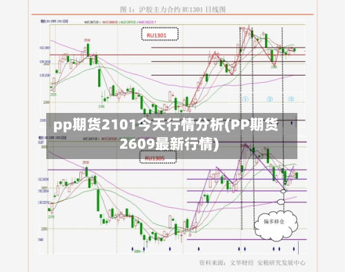pp期货2101今天行情分析(PP期货2609最新行情)