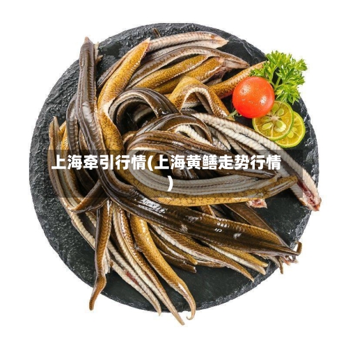上海牵引行情(上海黄鳝走势行情)
