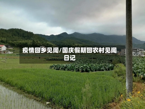 疫情回乡见闻/国庆假期回农村见闻日记