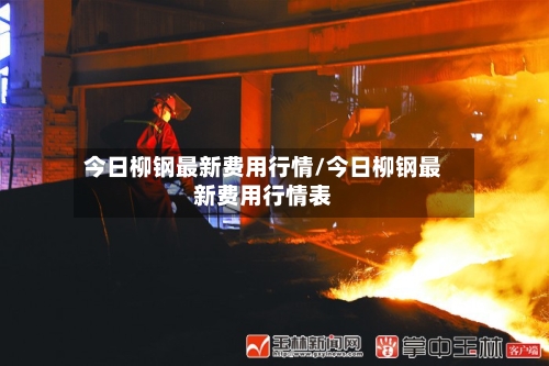 今日柳钢最新费用行情/今日柳钢最新费用行情表