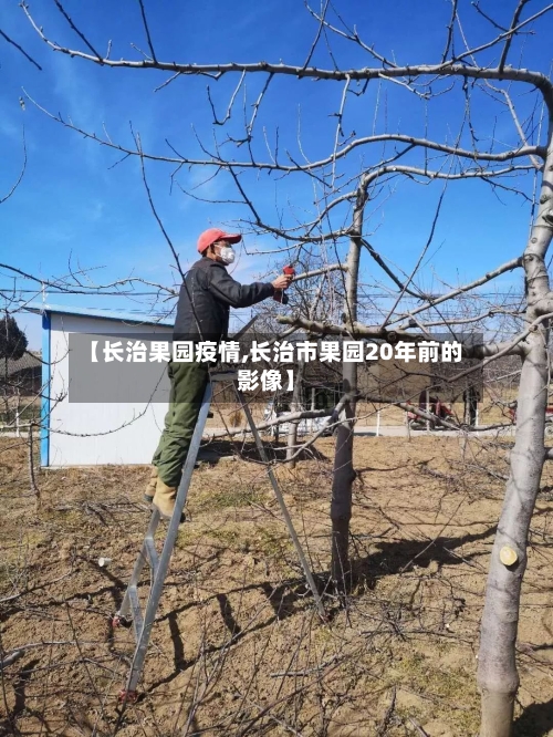 【长治果园疫情,长治市果园20年前的影像】