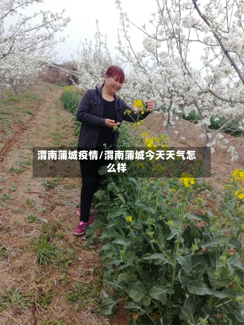 渭南蒲城疫情/渭南蒲城今天天气怎么样