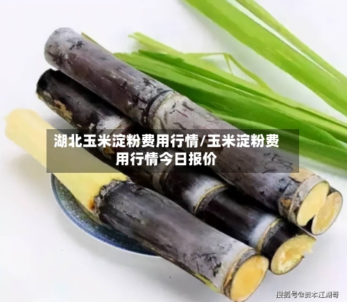 湖北玉米淀粉费用行情/玉米淀粉费用行情今日报价