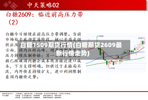白糖1509期货行情(白糖期货2609最新行情走势)-第2张图片