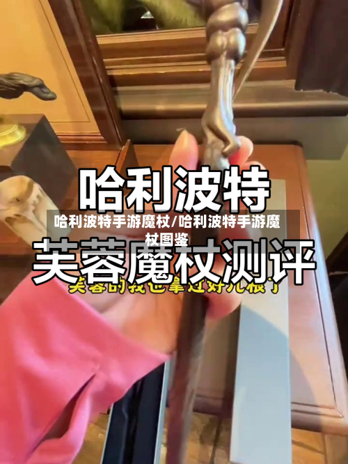 哈利波特手游魔杖/哈利波特手游魔杖图鉴-第2张图片
