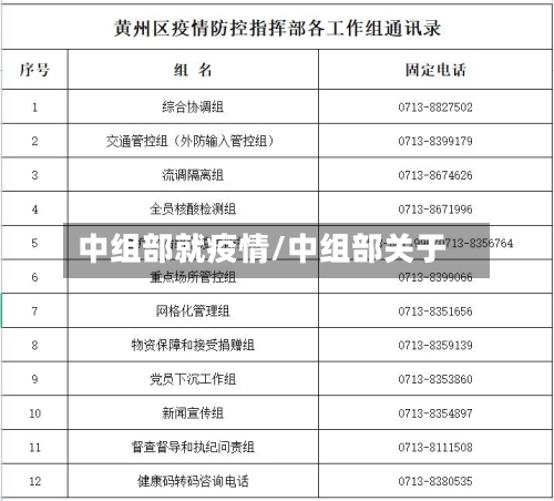 中组部就疫情/中组部关于