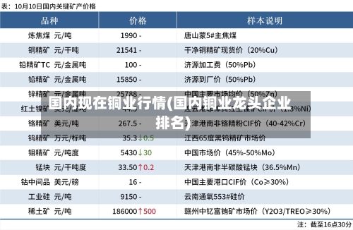 国内现在铜业行情(国内铜业龙头企业排名)