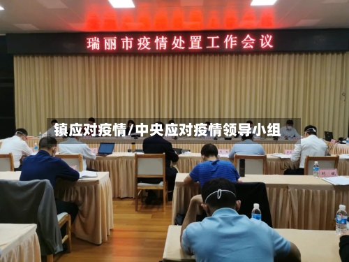 镇应对疫情/中央应对疫情领导小组-第2张图片
