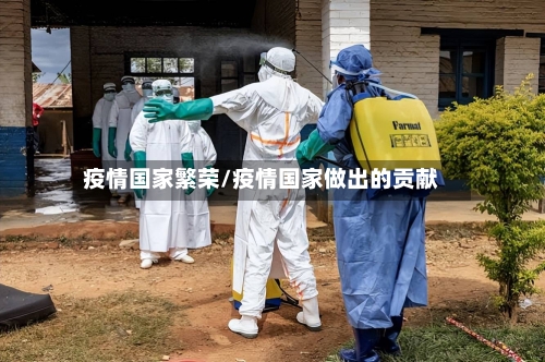 疫情国家繁荣/疫情国家做出的贡献-第2张图片