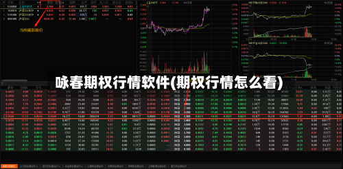 咏春期权行情软件(期权行情怎么看)-第2张图片