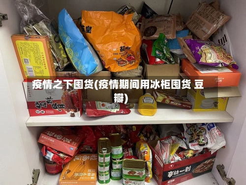疫情之下囤货(疫情期间用冰柜囤货 豆瓣)