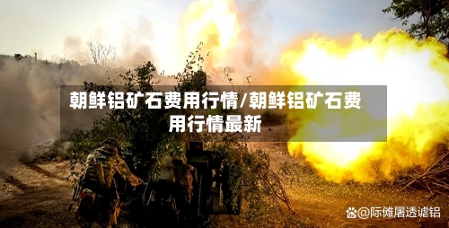 朝鲜铝矿石费用行情/朝鲜铝矿石费用行情最新-第2张图片
