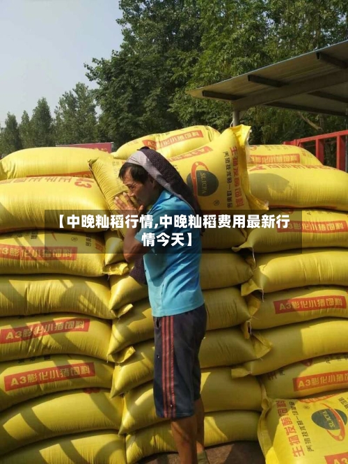 【中晚籼稻行情,中晚籼稻费用最新行情今天】