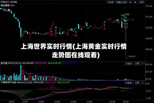 上海世界实时行情(上海黄金实时行情走势图在线观看)