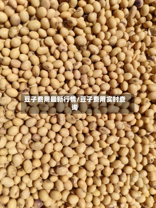 豆子费用最新行情/豆子费用实时查询-第2张图片