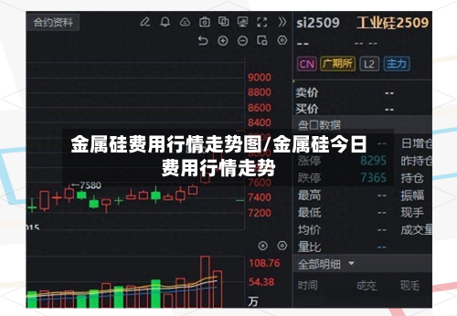 金属硅费用行情走势图/金属硅今日费用行情走势-第2张图片