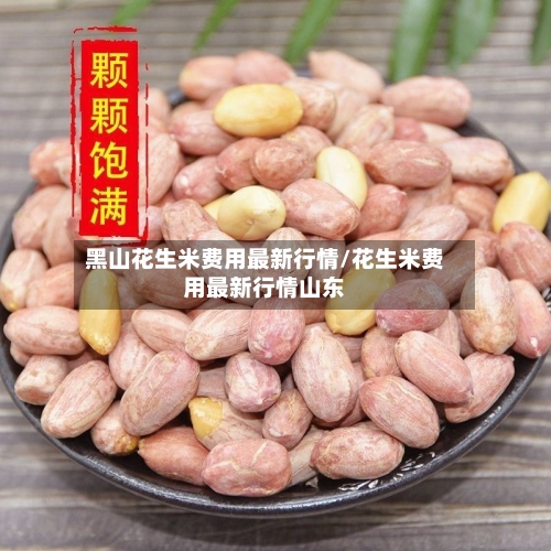 黑山花生米费用最新行情/花生米费用最新行情山东-第2张图片