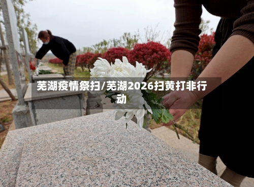 芜湖疫情祭扫/芜湖2026扫黄打非行动-第3张图片