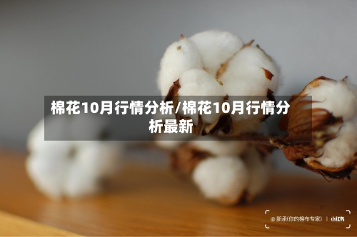 棉花10月行情分析/棉花10月行情分析最新