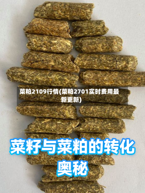 菜粕2109行情(菜粕2701实时费用最新更新)-第2张图片