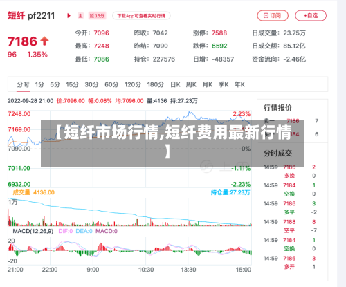 【短纤市场行情,短纤费用最新行情】-第3张图片