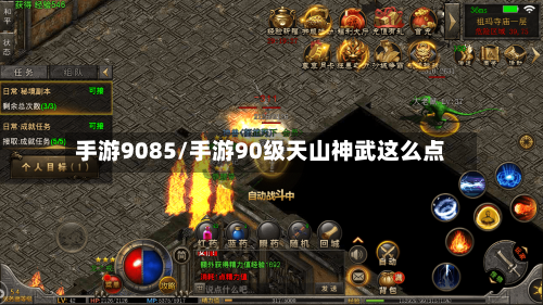 手游9085/手游90级天山神武这么点-第3张图片
