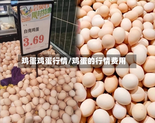 鸡蛋鸡蛋行情/鸡蛋的行情费用