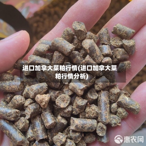 进口加拿大菜粕行情(进口加拿大菜粕行情分析)-第3张图片
