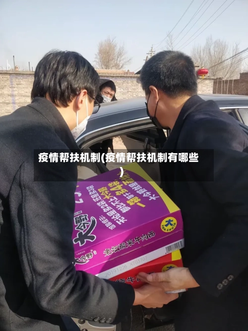疫情帮扶机制(疫情帮扶机制有哪些)