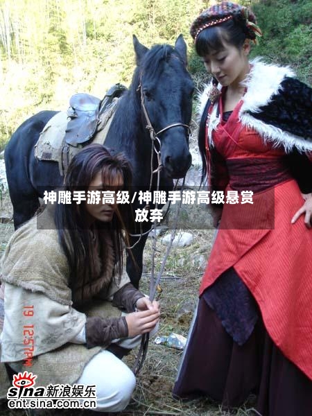 神雕手游高级/神雕手游高级悬赏放弃