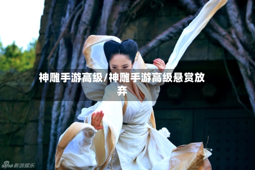 神雕手游高级/神雕手游高级悬赏放弃-第3张图片