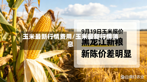 玉米最新行情费用/玉米最新行情消息
