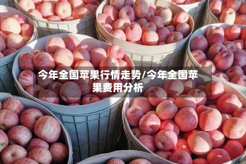 今年全国苹果行情走势/今年全国苹果费用分析