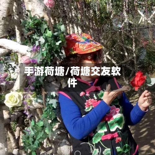 手游荷塘/荷塘交友软件