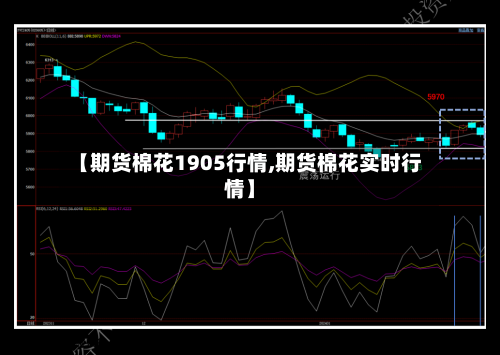 【期货棉花1905行情,期货棉花实时行情】-第2张图片