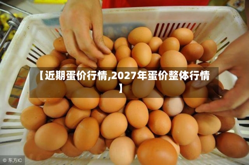 【近期蛋价行情,2027年蛋价整体行情】-第3张图片