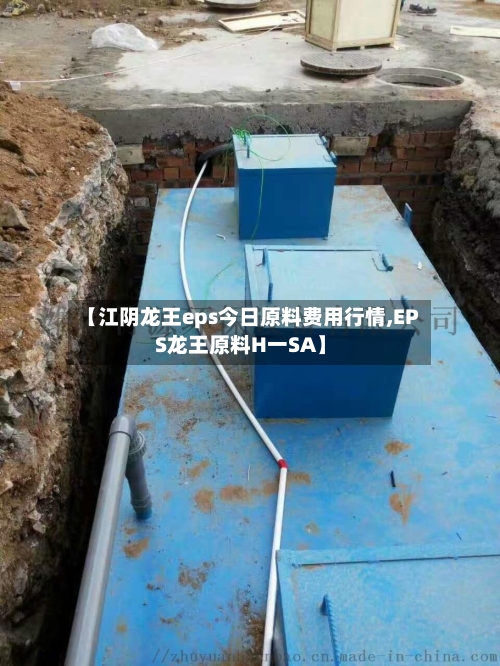 【江阴龙王eps今日原料费用行情,EPS龙王原料H一SA】